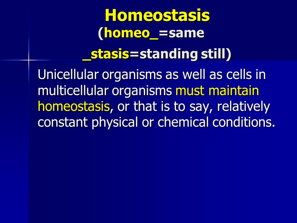 How and why organisms must maintain homeostasis